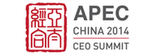 2014年APEC工商领导人峰会
